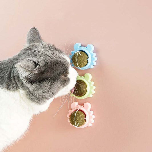 Catnip Ball